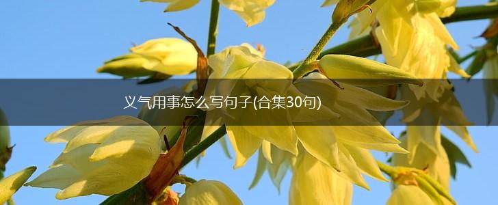 义气用事怎么写句子(合集30句),第1张
