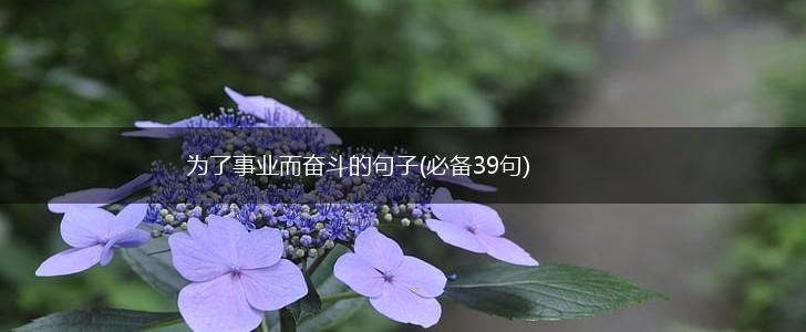 为了事业而奋斗的句子(必备39句),第1张