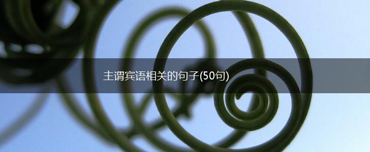 主谓宾语相关的句子(50句),第1张