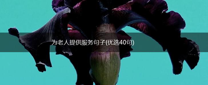 为老人提供服务句子(优选40句),第1张