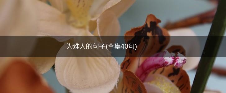 为难人的句子(合集40句),第1张