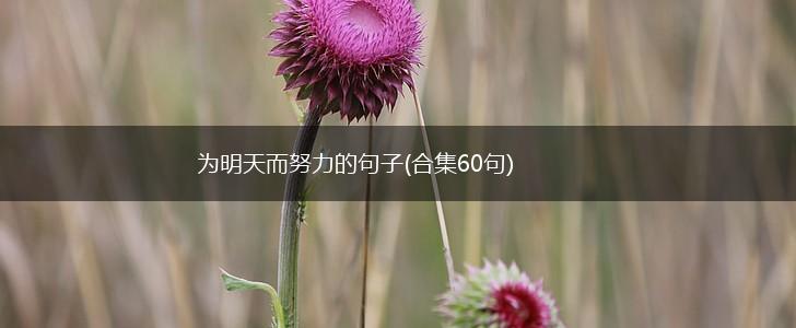 为明天而努力的句子(合集60句),第1张