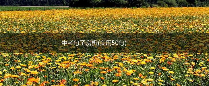 中考句子赏析(实用50句),第1张
