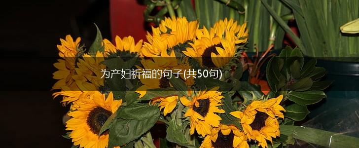 为产妇祈福的句子(共50句),第1张