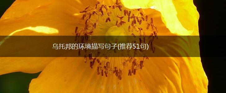 乌托邦的环境描写句子(推荐51句),第1张