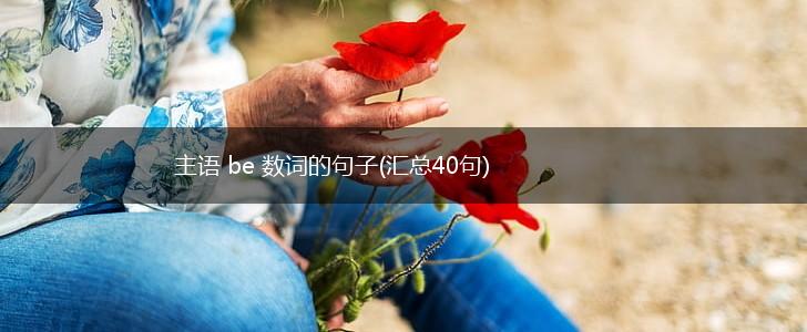 主语 be 数词的句子(汇总40句),第1张