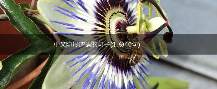 中文隐形谓语的句子(汇总40句),第1张