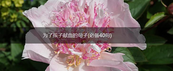 为了孩子献血的句子(必备40句),第1张