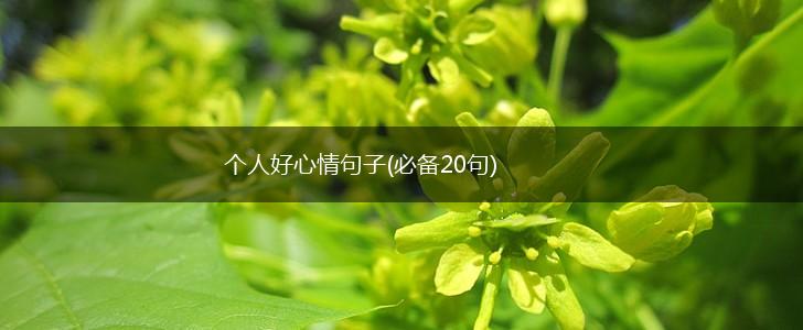 个人好心情句子(必备20句),第1张