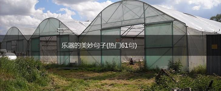 乐器的美妙句子(热门61句),第1张