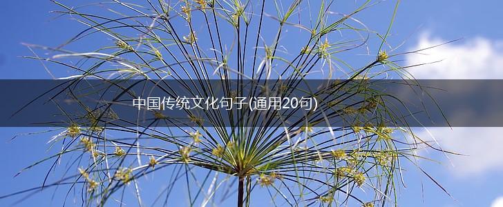 中国传统文化句子(通用20句),第1张