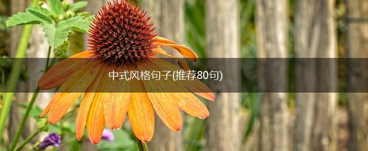中式风格句子(推荐80句),第1张