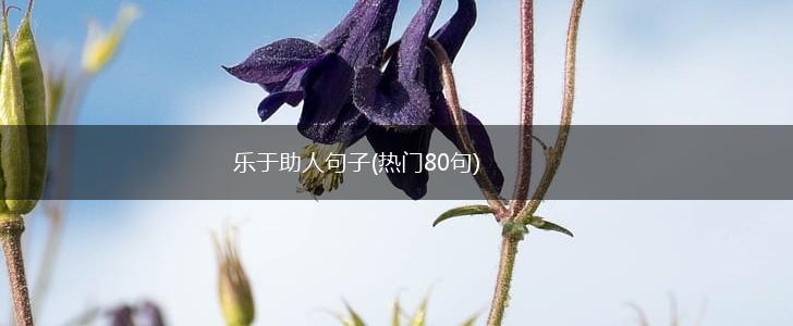 乐于助人句子(热门80句),第1张