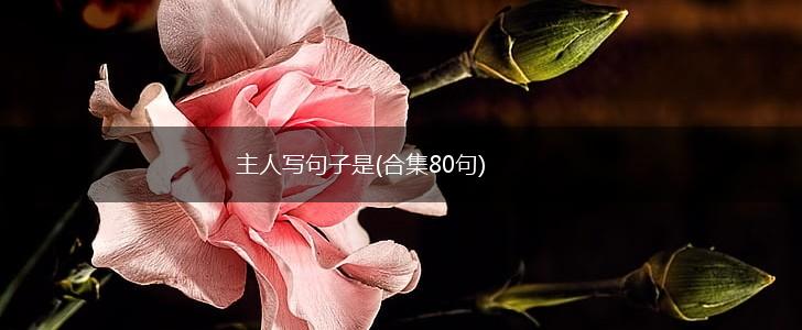 主人写句子是(合集80句),第1张