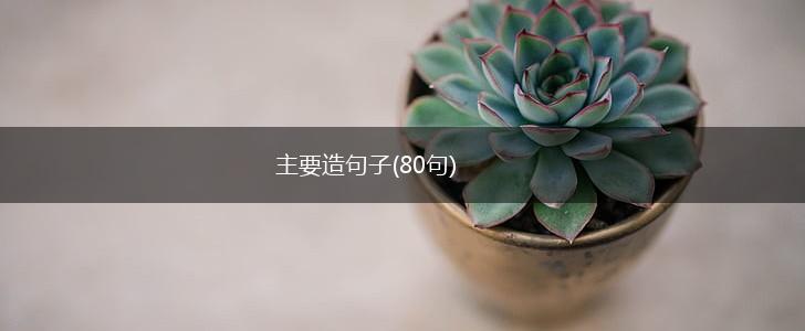 主要造句子(80句),第1张
