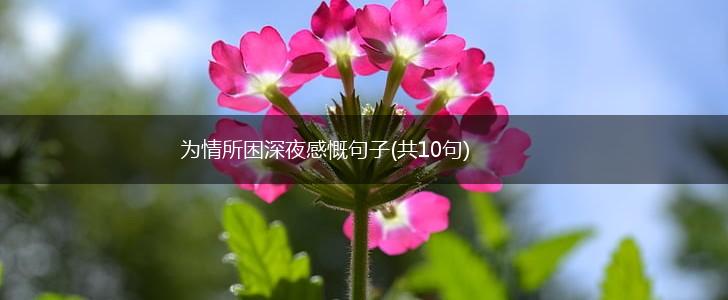 为情所困深夜感慨句子(共10句),第1张