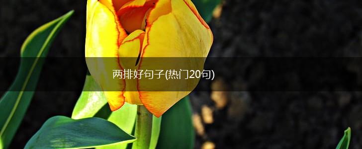 两排好句子(热门20句),第1张