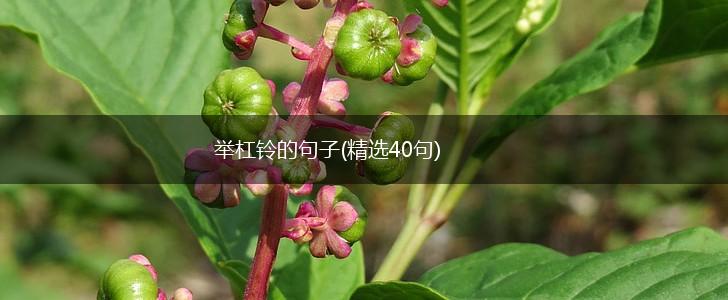 举杠铃的句子(精选40句),第1张