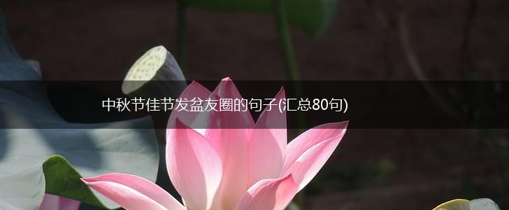 中秋节佳节发盆友圈的句子(汇总80句),第1张