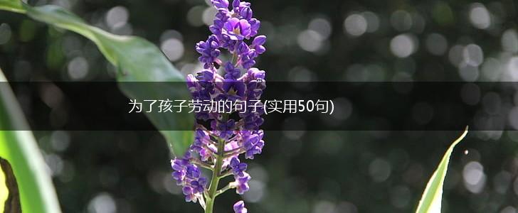为了孩子劳动的句子(实用50句),第1张