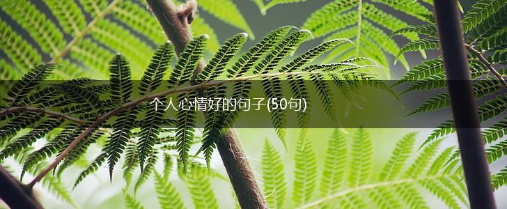 个人心情好的句子(50句),第1张