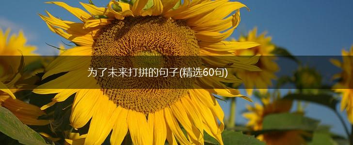 为了未来打拼的句子(精选60句),第1张