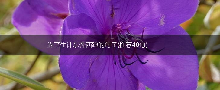 为了生计东奔西跑的句子(推荐40句),第1张