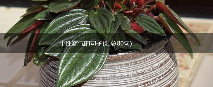 中性霸气的句子(汇总80句),第1张