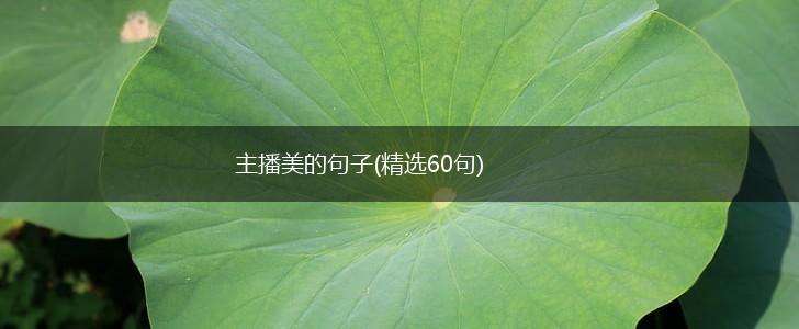 主播美的句子(精选60句),第1张