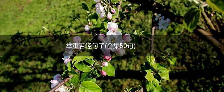 举重若轻句子(合集50句),第1张