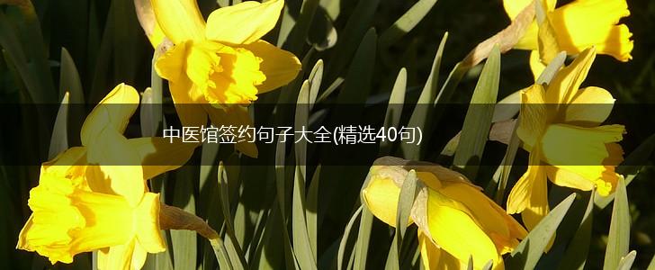 中医馆签约句子大全(精选40句),第1张