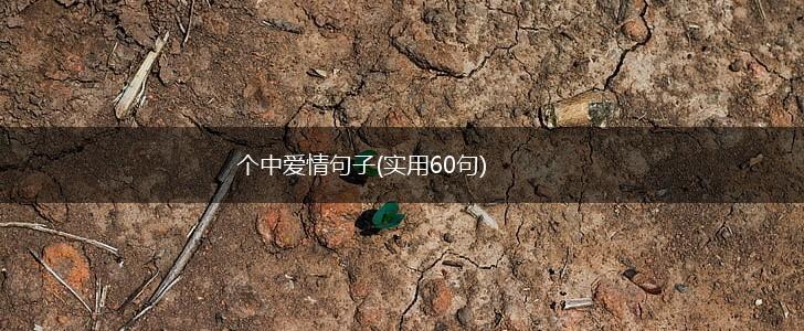 个中爱情句子(实用60句),第1张