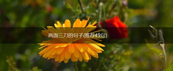 两面三刀的句子(推荐49句),第1张
