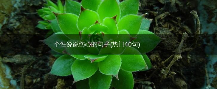 个性说说伤心的句子(热门40句),第1张
