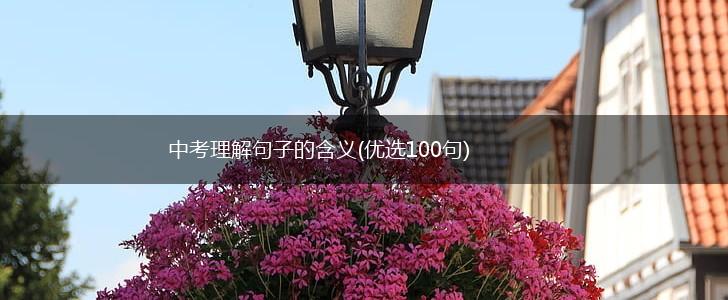中考理解句子的含义(优选100句),第1张