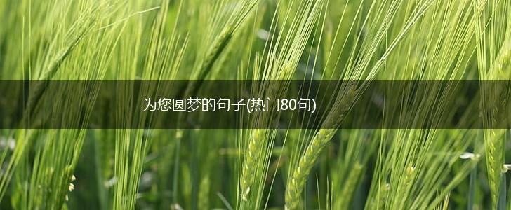 为您圆梦的句子(热门80句),第1张