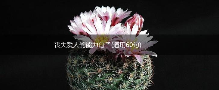 丧失爱人的能力句子(通用60句),第1张