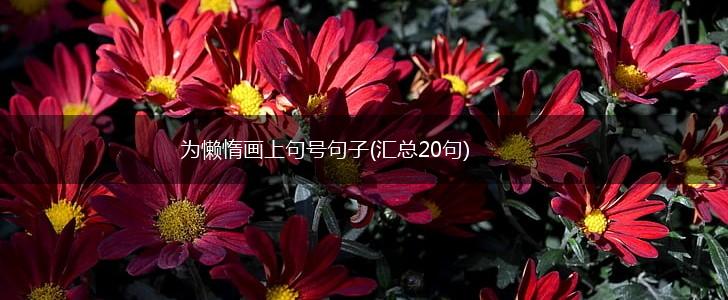 为懒惰画上句号句子(汇总20句),第1张