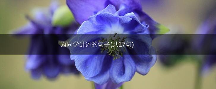 为同学讲述的句子(共17句),第1张