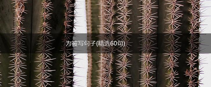 为被写句子(精选60句),第1张