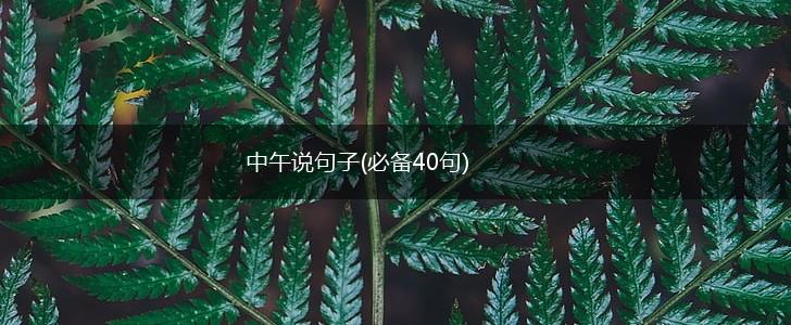 中午说句子(必备40句),第1张