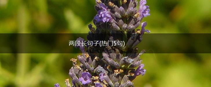两段长句子(热门5句),第1张