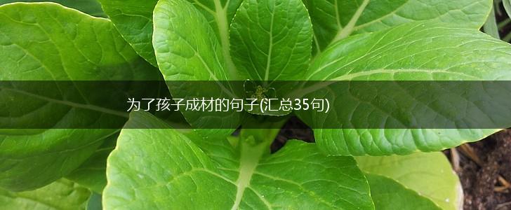 为了孩子成材的句子(汇总35句),第1张