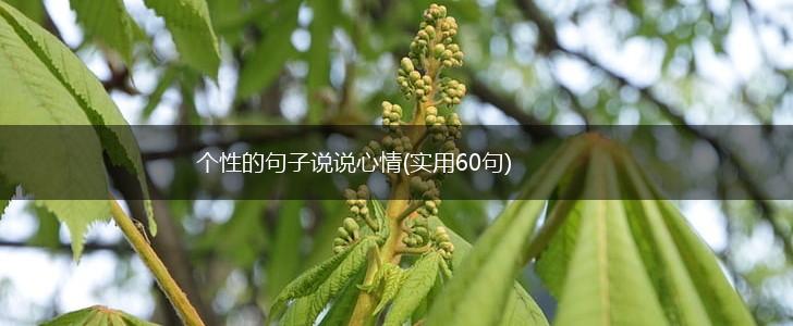 个性的句子说说心情(实用60句),第1张