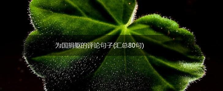 为国捐躯的评论句子(汇总80句),第1张