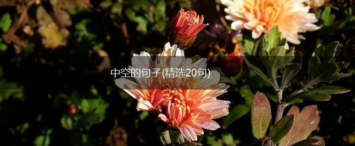 中空的句子(精选20句),第1张