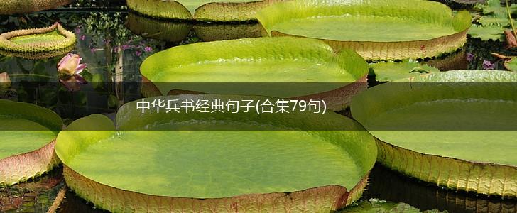 中华兵书经典句子(合集79句),第1张