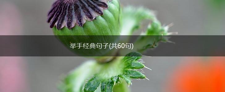 举手经典句子(共60句),第1张