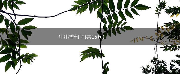 串串香句子(共15句),第1张