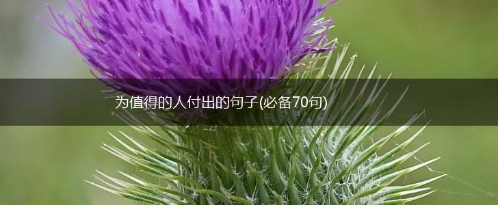 为值得的人付出的句子(必备70句),第1张